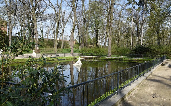 Stadtpark, Goldfischteich, Foto: B. Liese