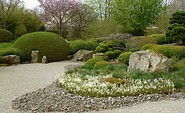 ROJI Japanische Gärten - Im April blühen die japanischen Kirschen, Foto: Gesine Jochems