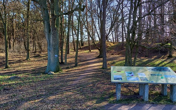 Der Königsweg - The King's Trail