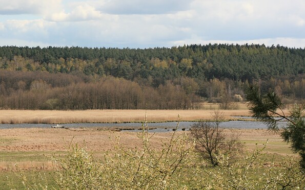 Blick auf das Rambower Moor, Foto: Jeannette Küther, Lizenz: Tourismusverband Prignitz e.V.
