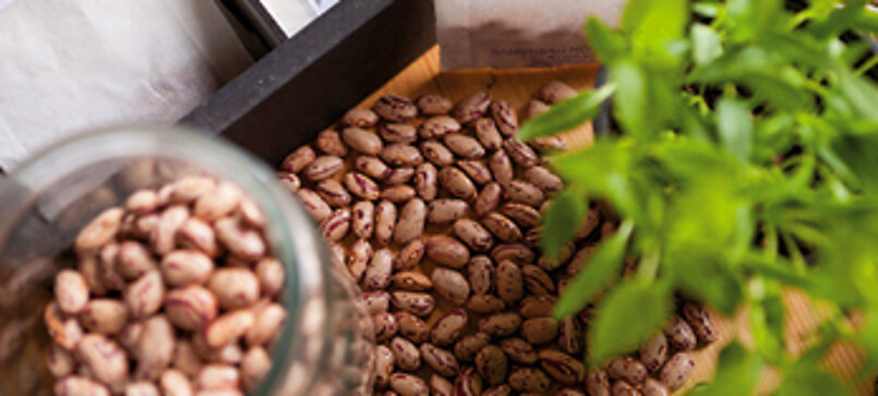 Saatgut- und Permakulturgarten Alt Rosenthal (seeds and garden)