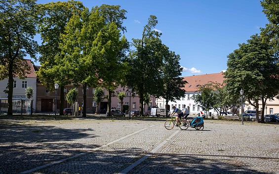 Circular Bicycle Tour Around Berlin