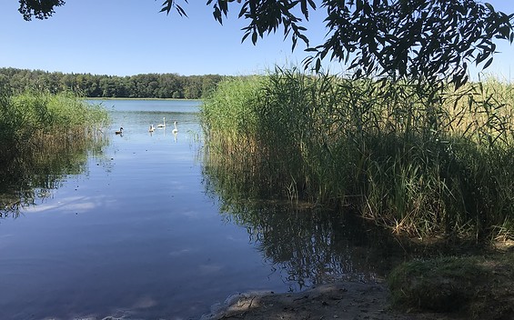 Badestelle an der Brücke, Foto: Anet Hoppe