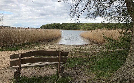Badestelle Thomsdorf am Carwitzer See, Foto: Anet Hoppe
