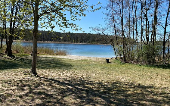 Badestelle am Gollinsee, Foto: Alena Lampe