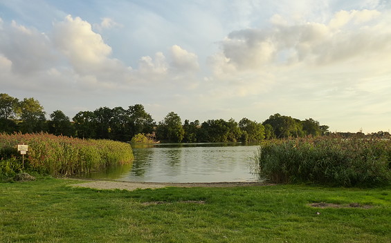 Grünower See, Foto: Alena Lampe