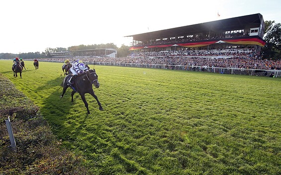 racetrack Hoppegarten, Foto: Frank Sorge, Foto: Frank Sorge