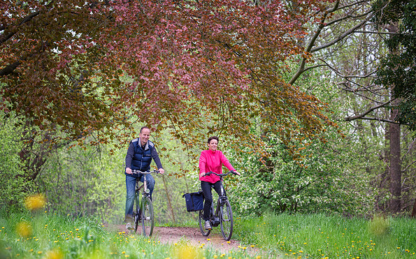 Fahrradfahrer im Lenné Park in Hoppegarten, Foto: Florian Läufer, Foto: Florian Läufer