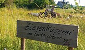 Ziegenhof und Käserei Mittenwalde , Foto: Irmi Grünsteidel