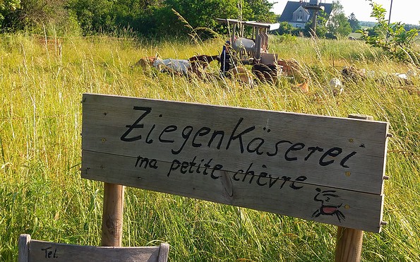 Ziegenhof und Käserei Mittenwalde , Foto: Irmi Grünsteidel
