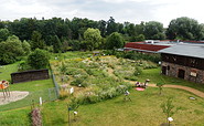 Bienenschaugarten, Foto: Christine Leuschner, Lizenz: Amt Joachimsthal (Schorfheide)