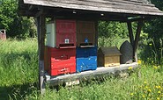 Bienenkästen im Bienenschaugarten, Foto: Christine Leuschner, Lizenz: Amt Joachimsthal (Schorfheide)