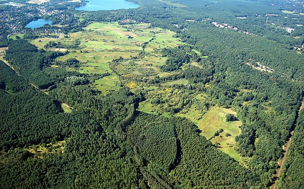 Luftbild Lange Dammwiesen , Foto: Holger Rößling, Lizenz: Holger Rößling