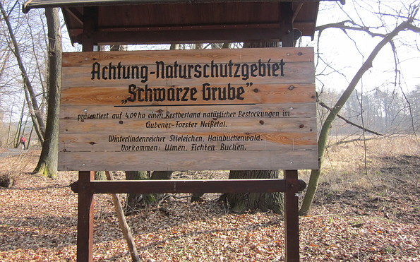 Naturschutzgebiet &quot;Schwarze Grube, Foto: keine Angabe, Lizenz: Tourismusverband Niederlausitz e.V.