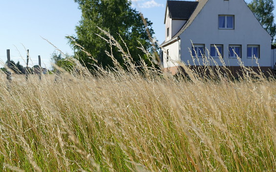 Ferienwohnung Alte Schule, Foto: Saskia Hahn