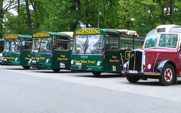 All buses at Cecilienhof 2017, Foto: Agentur für Stadttourismus, Lizenz: Stadt- und Schlösserrundfahrt &quot;Alter Fritz&quot; Agentur für Stadttourismus