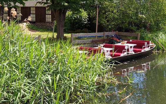 Punting tours in Peitz