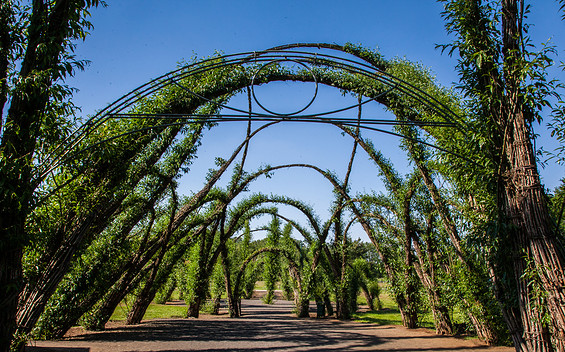 Stellplatz Weidenburg, Foto: Peter Becker, Lizenz: Amt Burg (Spreewald)