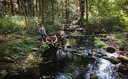 Löcknitztal auf dem 66-Seen-Wanderweg, Foto: Christoph Creutzburg, Lizenz: Seenland Oder-Spree