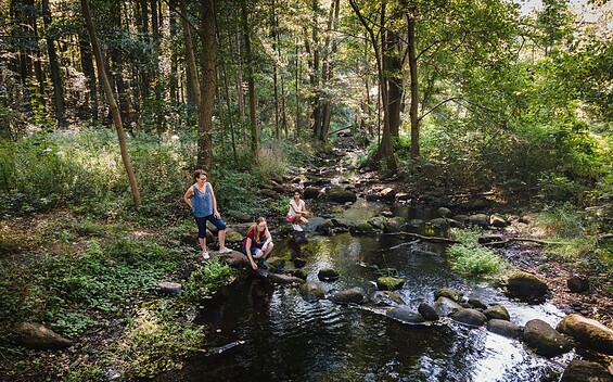 Löcknitztal auf dem 66-Seen-Wanderweg, Foto: Christoph Creutzburg, Lizenz: Seenland Oder-Spree