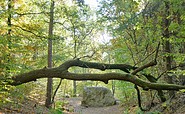 Markgrafensteine in den Rauener Bergen , Foto: Angelika Laslo, Lizenz: Seenland Oder-Spree