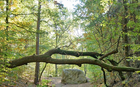 Markgrafensteine in den Rauener Bergen , Foto: Angelika Laslo, Lizenz: Seenland Oder-Spree