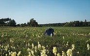 66-Seen-Wanderweg Pause bei Hangelsberg, Foto: Christoph Creutzburg, Lizenz: Seenland Oder-Spree
