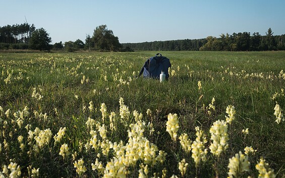 66-Seen-Wanderweg Pause bei Hangelsberg, Foto: Christoph Creutzburg, Lizenz: Seenland Oder-Spree