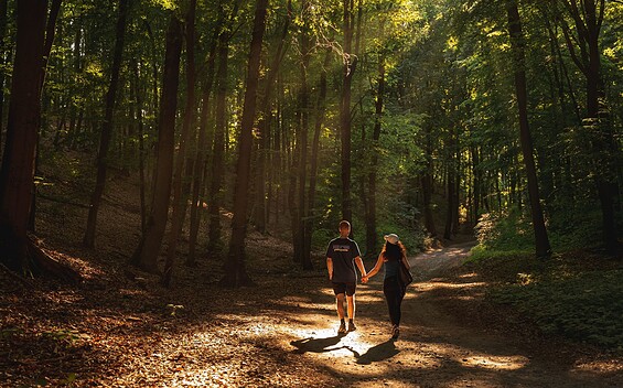 Wandern bei Falkenberg, Foto: Florian Läufer, Lizenz: Seenland Oder-Spree