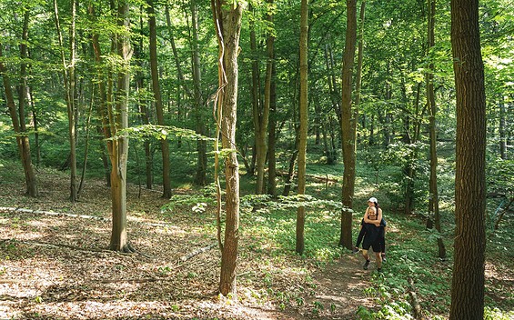 Wandern bei Falkenberg, Foto: Florian Läufer, Lizenz: Seenland Oder-Spree
