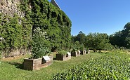 Klostergarten mit Hochbeeten, Foto: Elisabeth Kluge, Lizenz: Tourist-Information Zehdenick