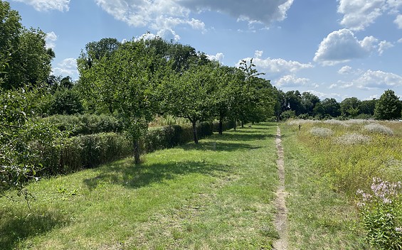 Parkgarten Criewen, Foto: Alena Lampe