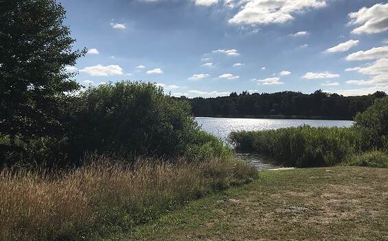 Naturbadestelle Haussee Wolfshagen, Foto: Anet Hoppe