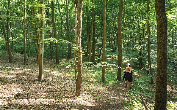 Hiking near Falkenberg, Foto: Florian Läufer, Lizenz: Seenland Oder-Spree