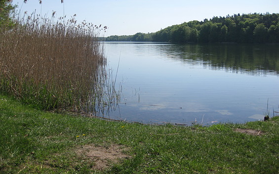 Hardenbeck, Haussee - Rosenower Badestelle, Foto: Anet Hoppe