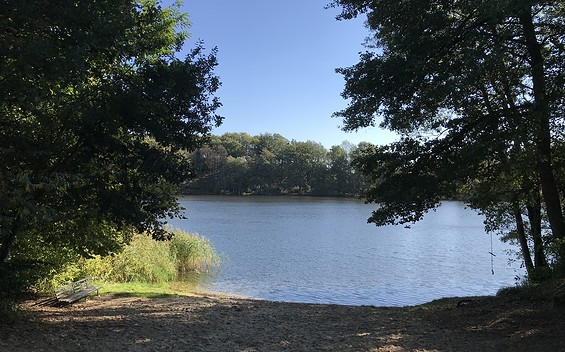 Badestelle am Kleinen Dolgensee Herzfelde, Foto: Anet Hoppe
