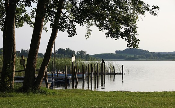 Herzsprung, Parsteiner See, Foto: Alena Lampe