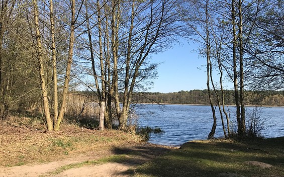 Naturbadestelle Jatz am Röddelinsee, Foto: Anet Hoppe