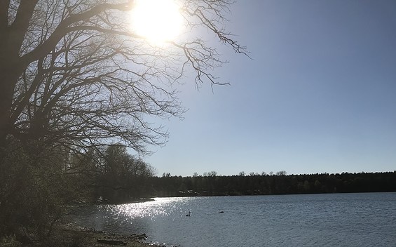 Hundebadestele am Dreetzsee, Foto: Anet Hoppe
