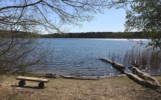 Hundebadestele am Dreetzsee, Foto: Anet Hoppe