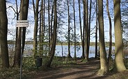 Hundebadestelle Buchheide am Lübbesee Templin, Foto:  Anet Hoppe