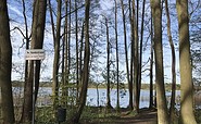 Hundebadestelle Buchheide am Lübbesee Templin, Foto:  Anet Hoppe