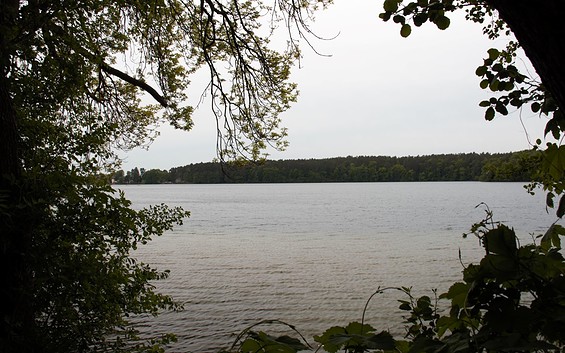 Hundebadestelle am Wurlsee Lychen, Foto: Alena Lampe