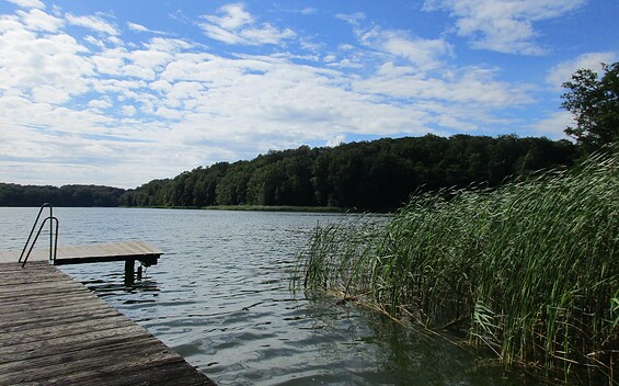 Krewitzsee, Foto: Anet Hoppe