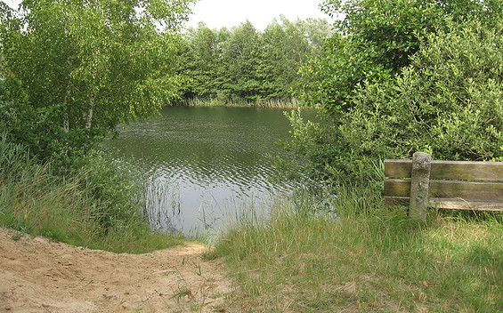 Lindensee - Badestelle Krummer See, Foto: Anet Hoppe
