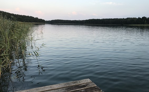 Steg Badestelle Petersdorf, Foto: Anet Hoppe