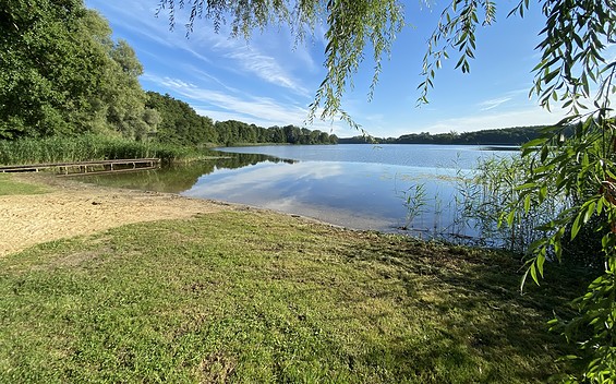 Badestelle Schifferhof, Oberuckersee, Foto: Alena Lampe