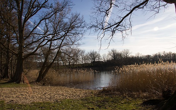 Temmen, Großer Krinertsee