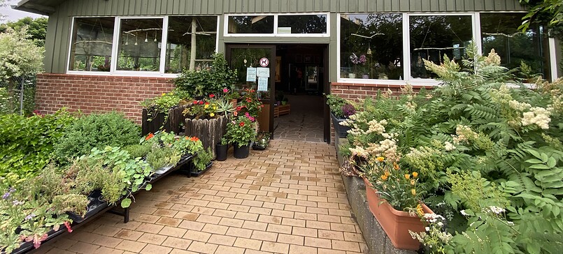 Gärtnerei Pinnow, vegetables & flowers