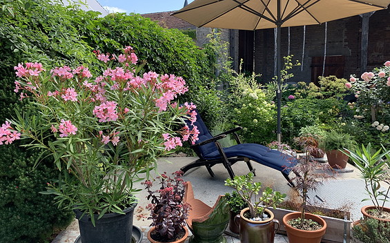 Liegestuhl im Hof, Foto: Kirsten Nieschalk